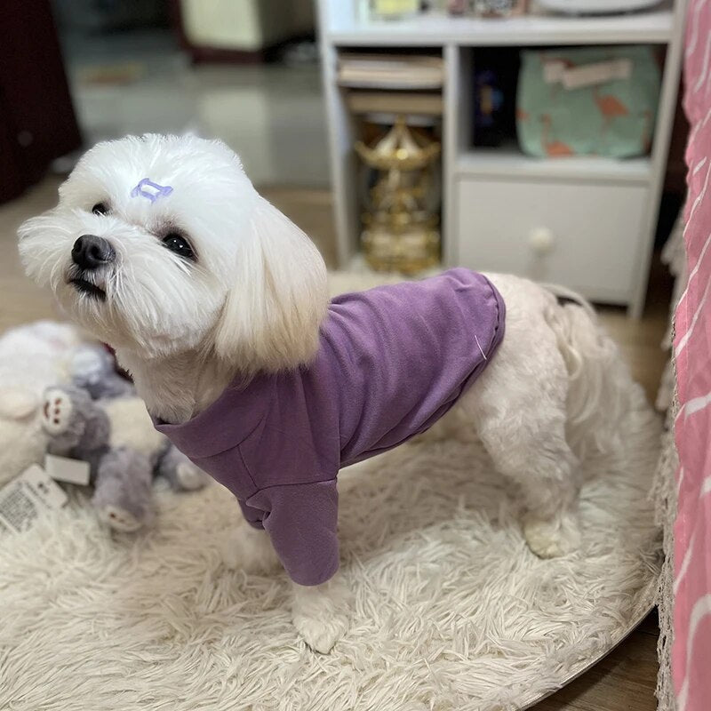 47240868790582|47240868823350|47240868856118|47240868888886|47240868921654