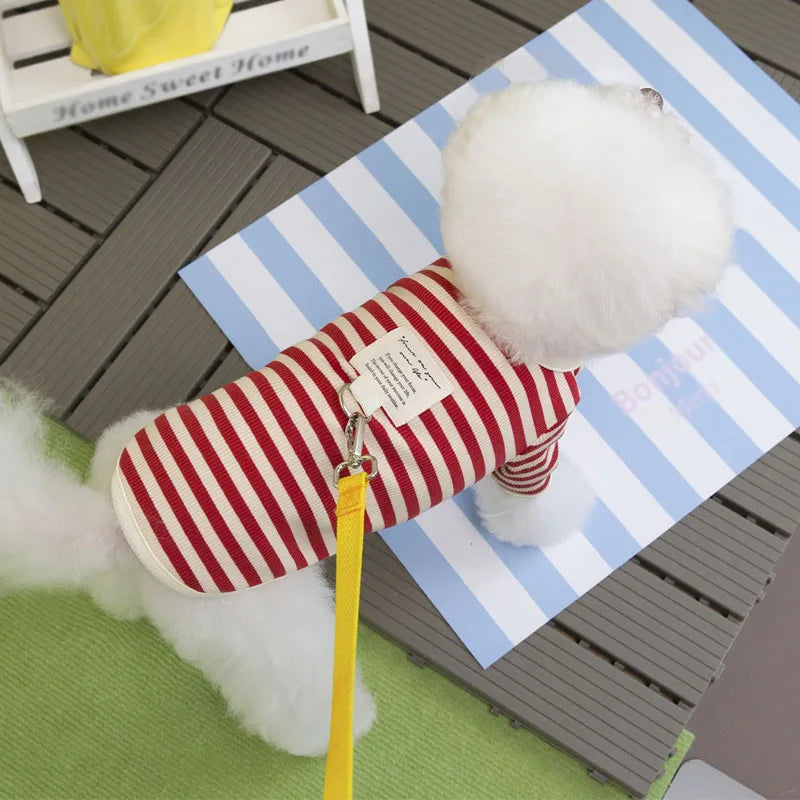 The Little Red Zippy