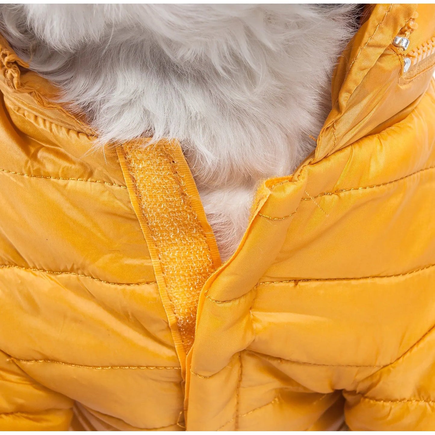 The Sporty Adventure Vest