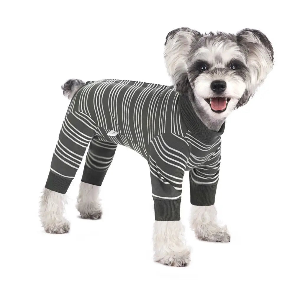 The Autumn Paw Patrol Jumper