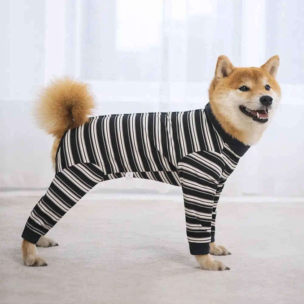 The Autumn Paw Patrol Jumper