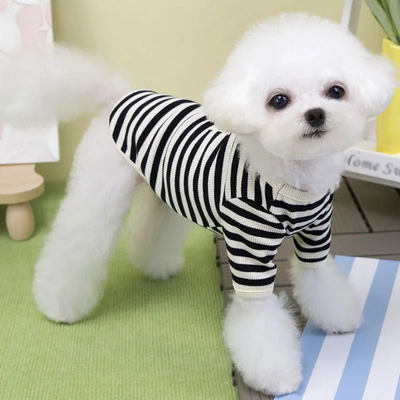 The Little Red Zippy