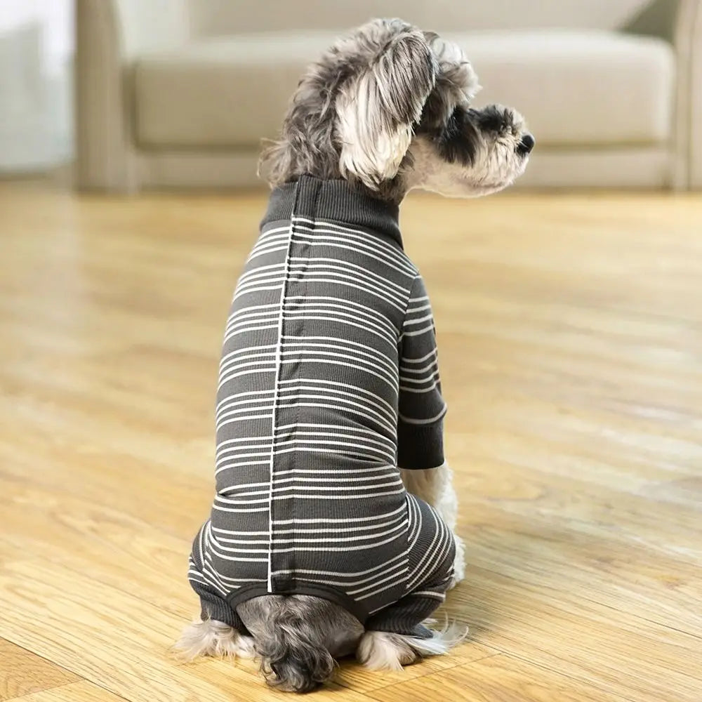 The Autumn Paw Patrol Jumper