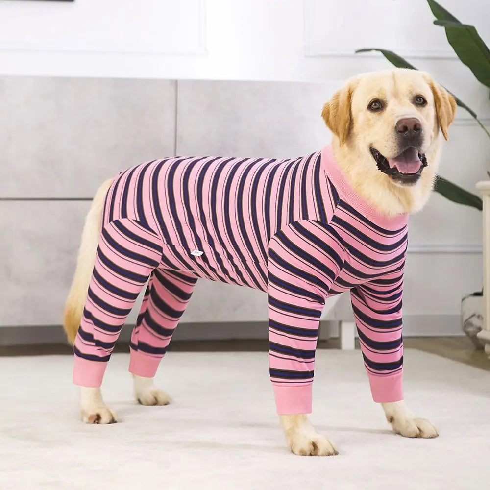 The Autumn Paw Patrol Jumper