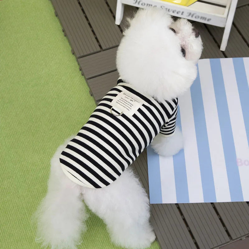 The Little Red Zippy