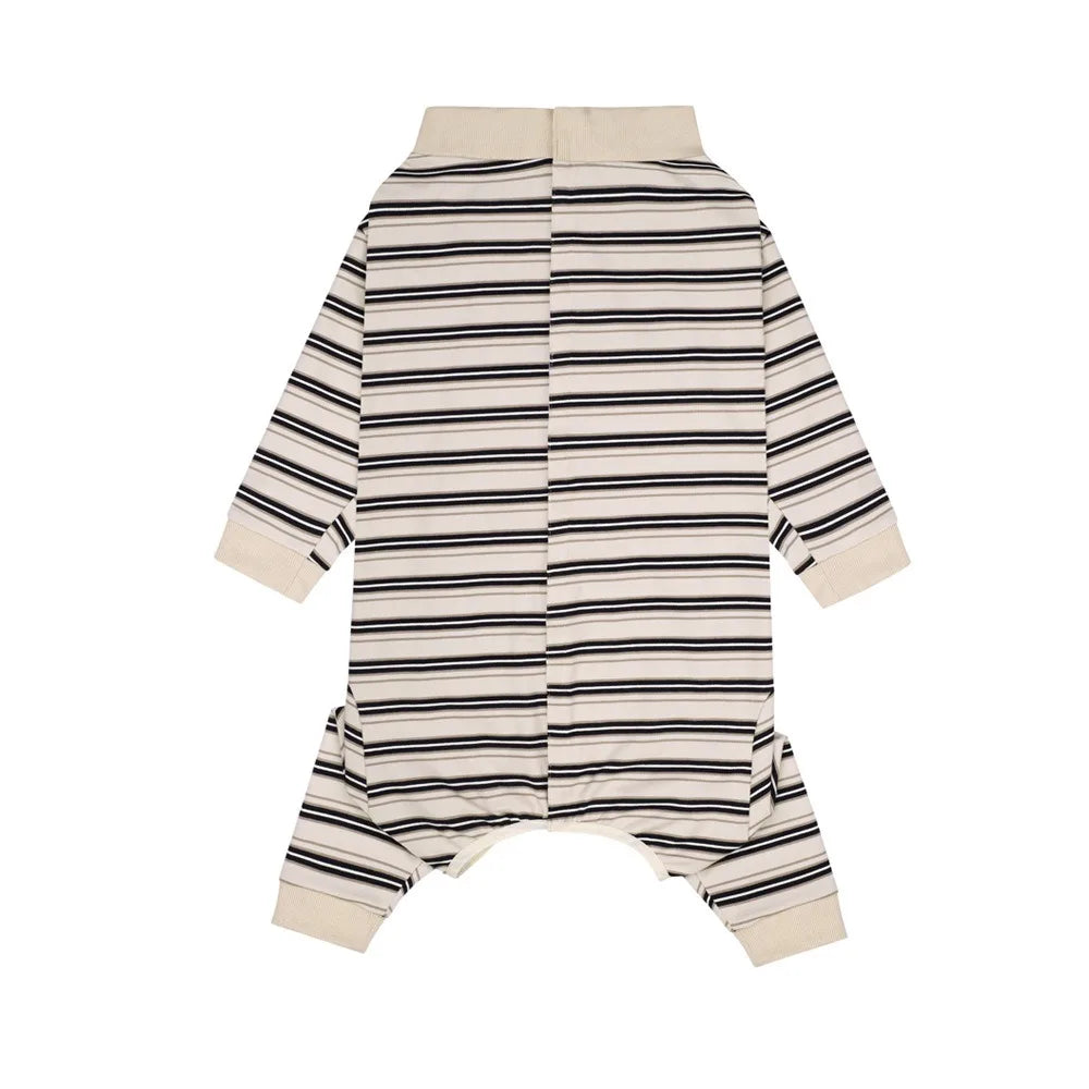 The Autumn Paw Patrol Jumper