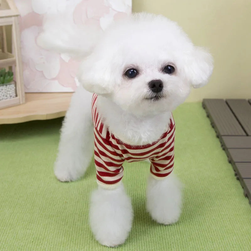 The Little Red Zippy