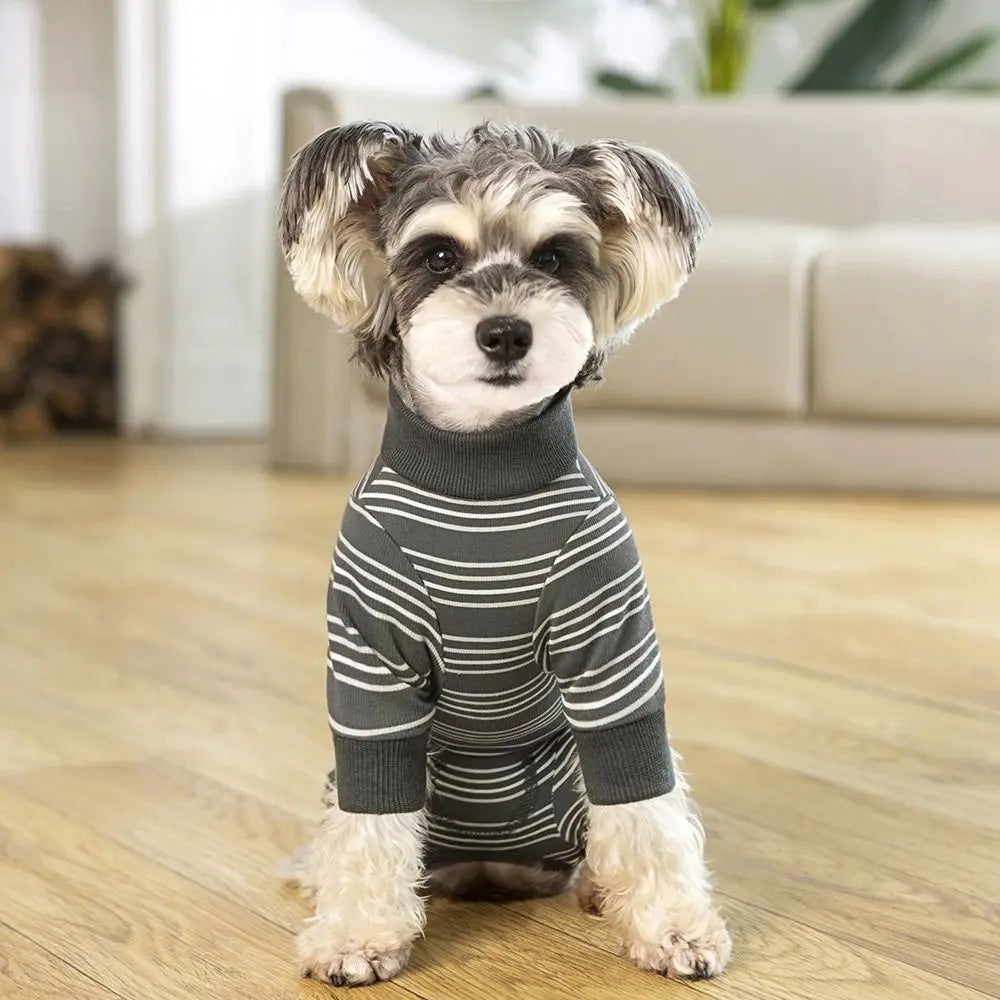 The Autumn Paw Patrol Jumper