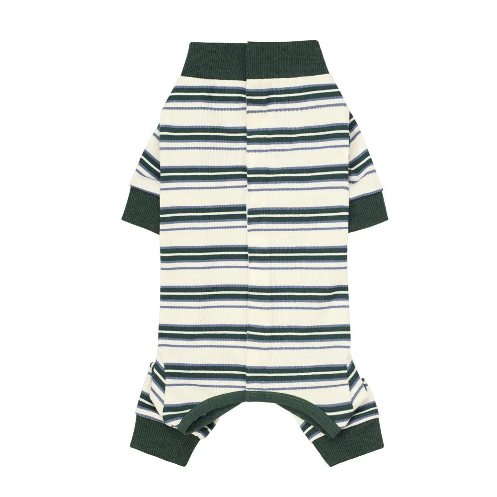 The Autumn Paw Patrol Jumper