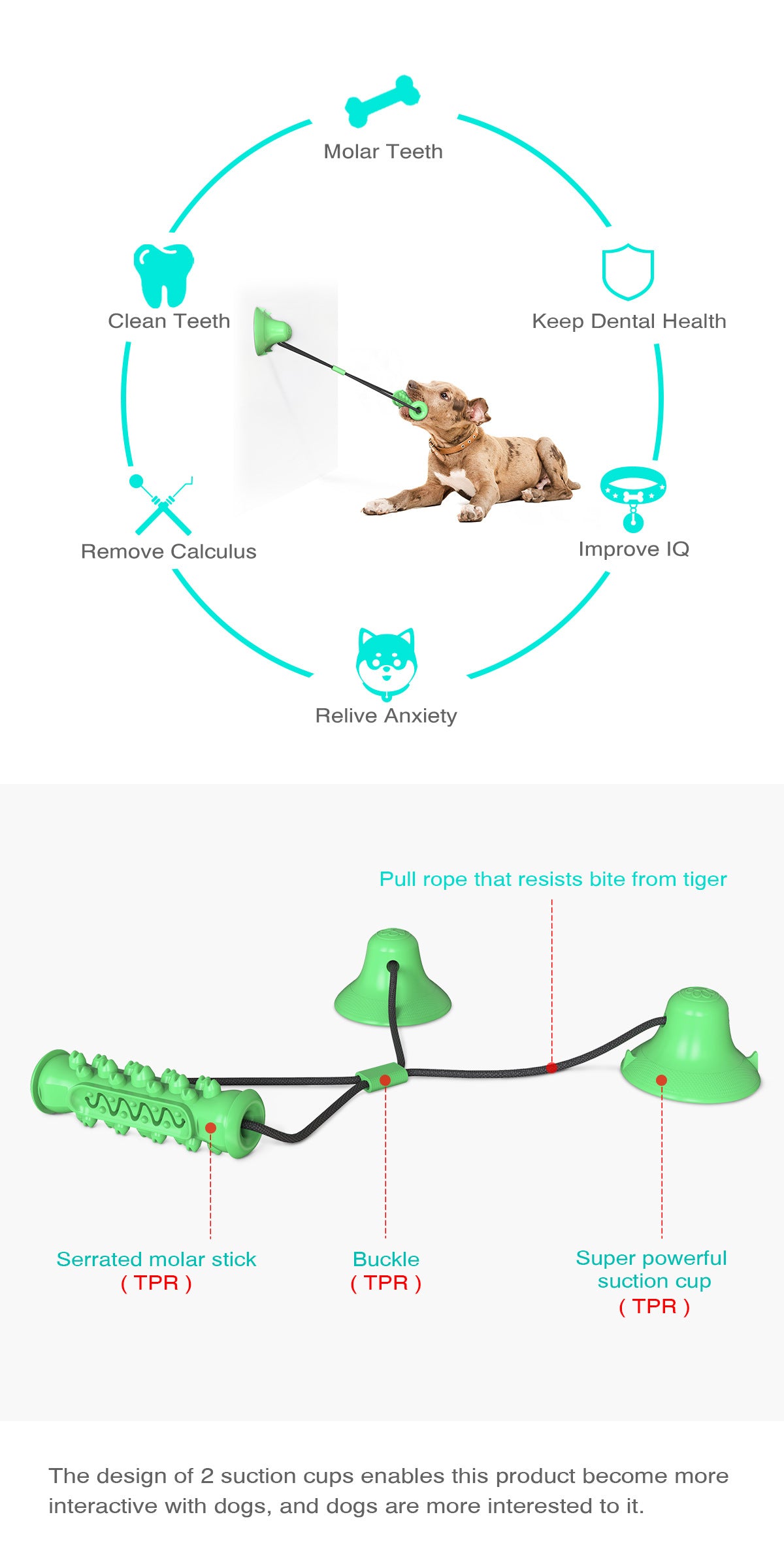 Suction Cup Fixed Natural Rubber Bite Resistant Molar Stick
