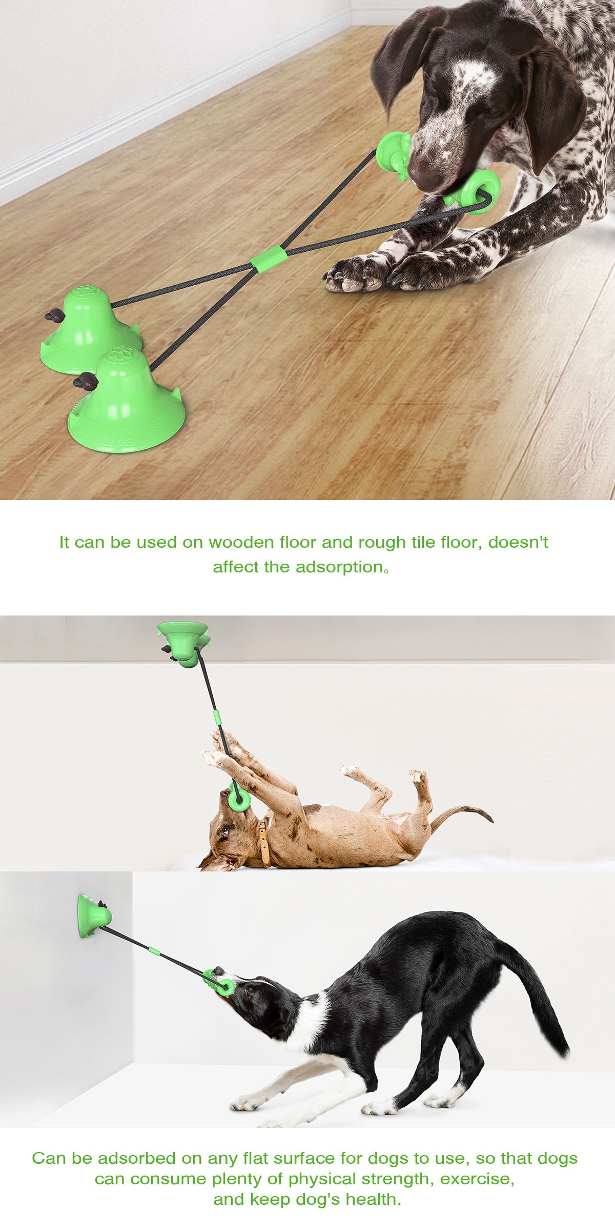 Suction Cup Fixed Natural Rubber Bite Resistant Molar Stick