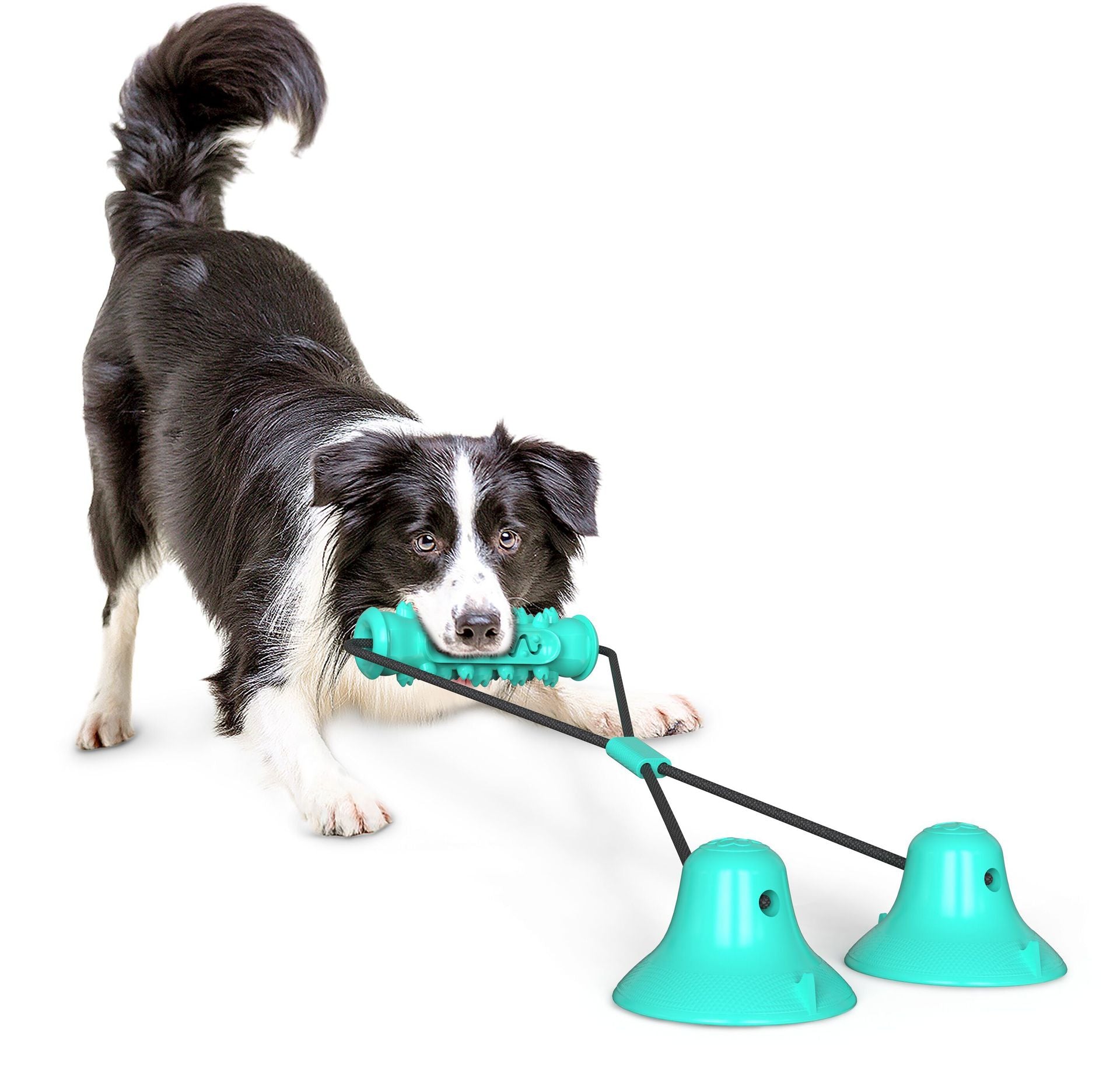 Suction Cup Fixed Natural Rubber Bite Resistant Molar Stick